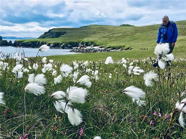 Shetland and Orkney walking vacation, Scotland