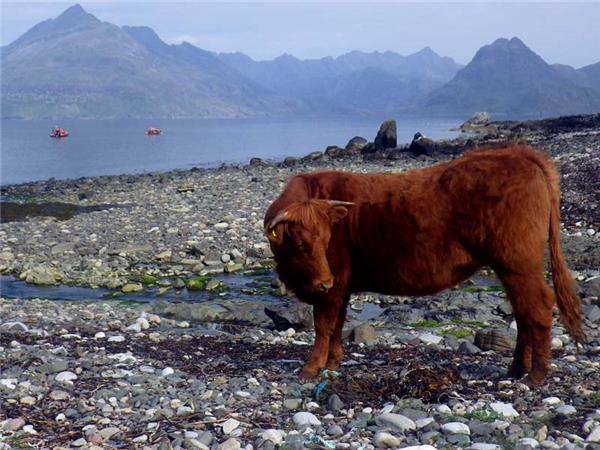 Isle of Skye walking vacation, Scotland