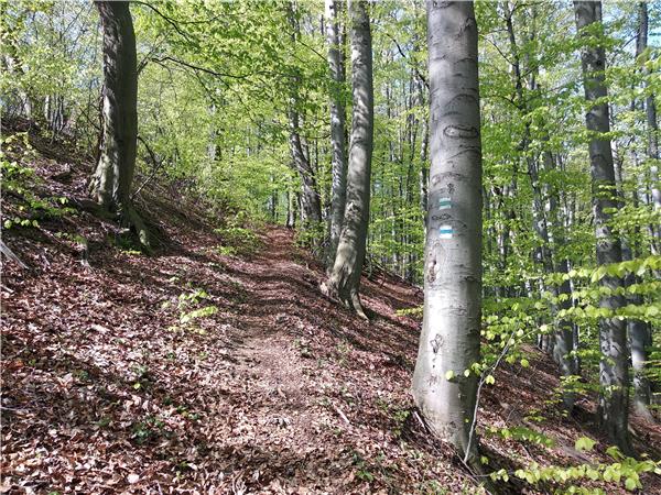 Hiking in the Balkan mountains