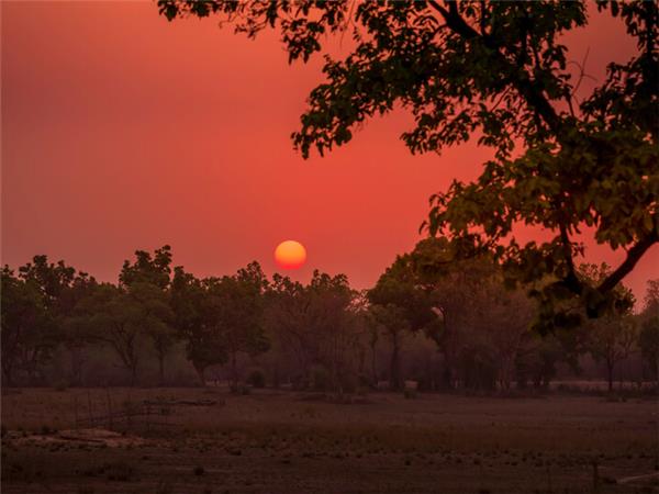 India tiger safari small group vacation