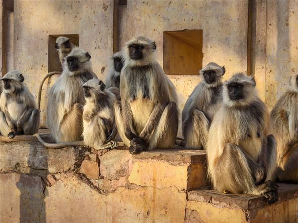The Golden Triangle cycling vacation in India