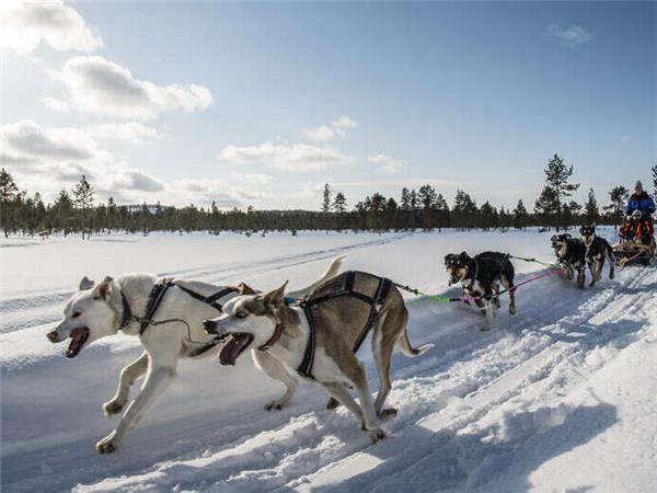 Finnish Lapland Winter adventure vacation