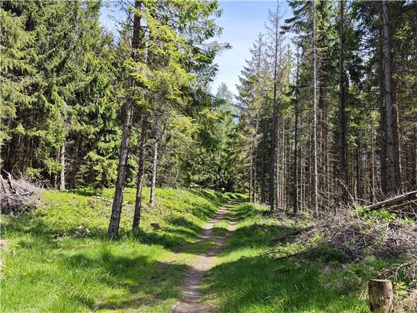 Poland�s High Tatras mountains hiking vacation