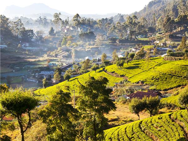 Sri Lanka budget vacation