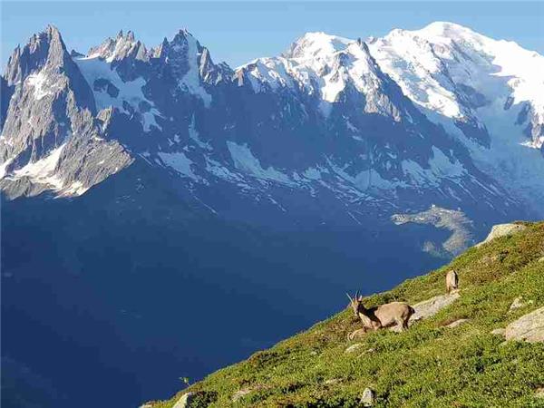 Tour du Mont Blanc highlights vacation