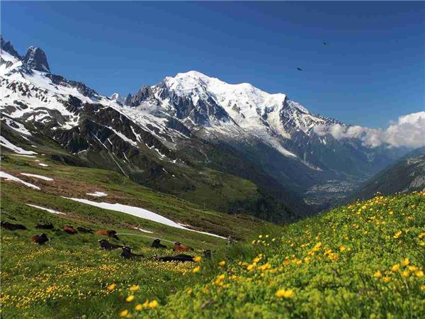 Tour du Mont Blanc circuit in comfort