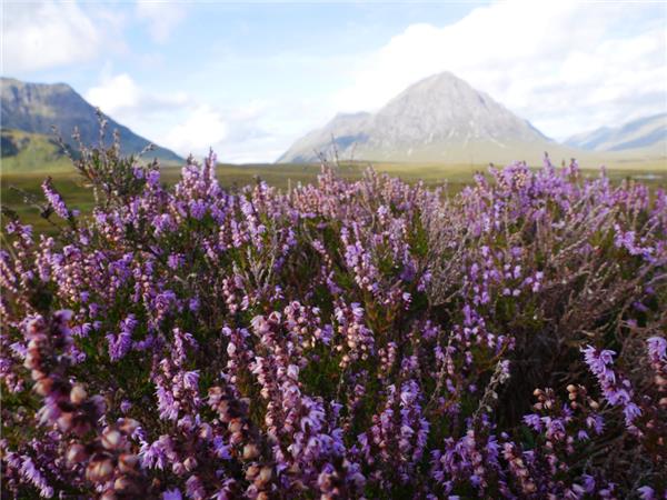West Highland way in comfort vacation