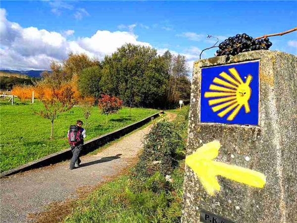 Portuguese Camino de Santiago self guided hiking vacation