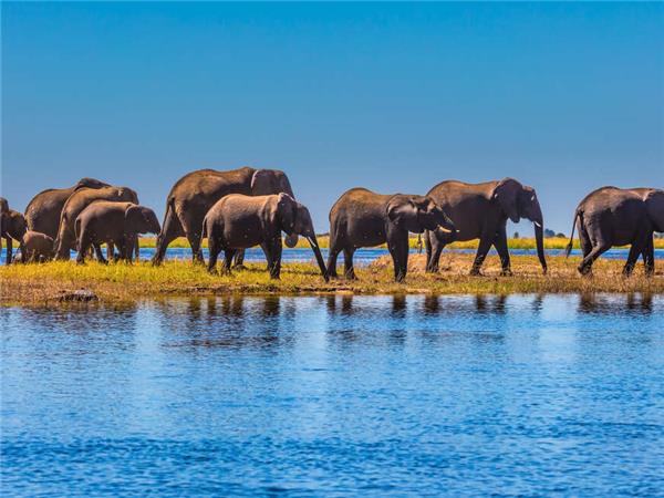 Botswana Wildlife vacation with added comfort