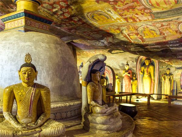 Sri Lanka tour with added comfort
