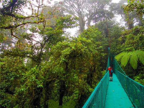 Costa Rica wildlife vacation with added comfort