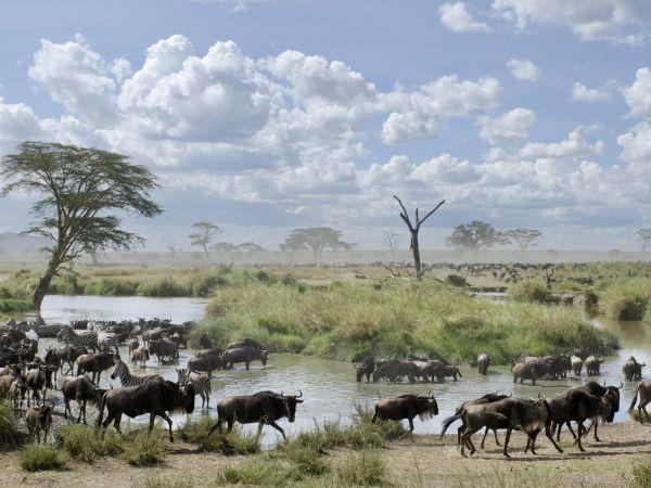 Tanzania small group vacation, safari & Serengeti