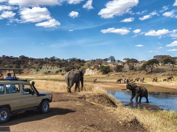 Tanzania small group vacation, safari & Serengeti