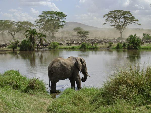 Tanzania small group vacation, safari & Serengeti