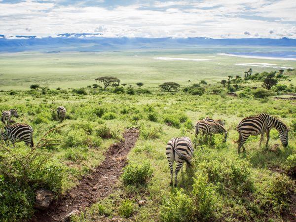 Tanzania small group vacation, safari & Serengeti