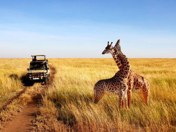 Tanzania small group vacation, safari & Serengeti