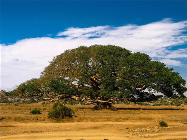 Eritrea small group tour