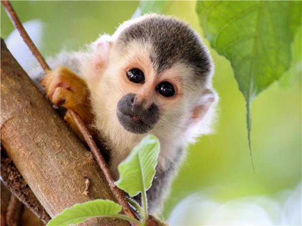 Costa Rica family vacation