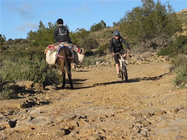 Atlas Mountains mountain biking vacation