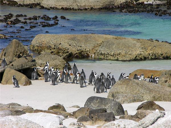 South Africa cycling vacation, Western Cape