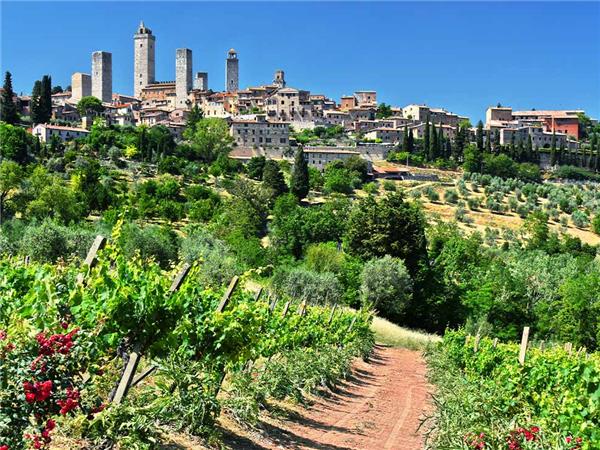 Tuscany small group tour