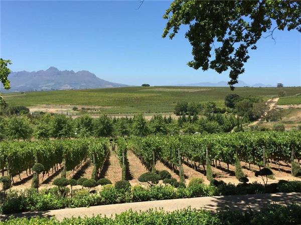 South Africa vacation, Cape escape