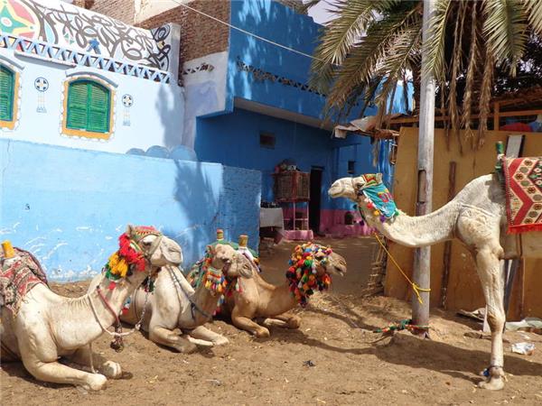 Family vacation in Egypt, Egyptian adventure