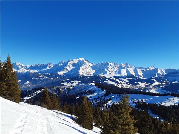 Snowshoeing in Chamonix Valleyvacation, self guided