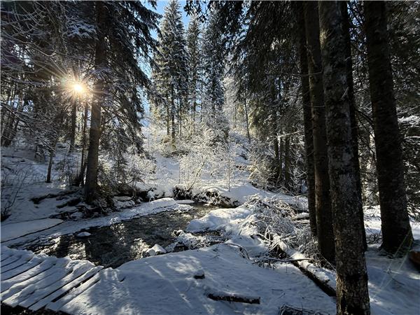 Snowshoeing in Chamonix Valleyvacation, self guided
