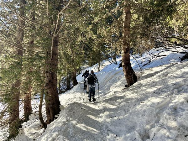 Snowshoeing in Chamonix Valleyvacation, self guided