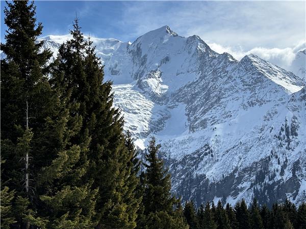 Snowshoeing in Chamonix Valleyvacation, self guided