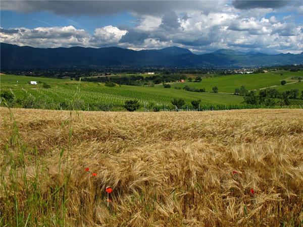 Self guided e biking in Umbria vacation