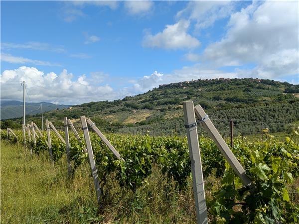Cycling vacation in Umbria and Lazio by e bike