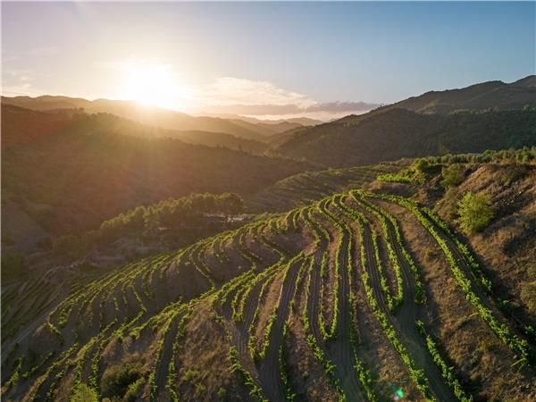 Hiking in Catalonia, Priorat wine region