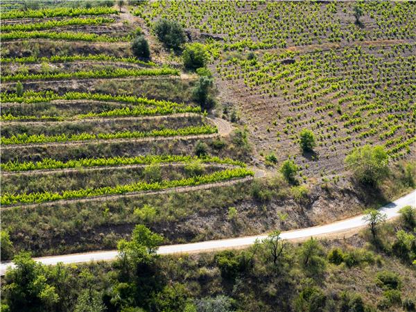 Hiking in Catalonia, Priorat wine region