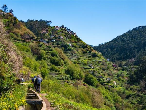 Hiking in Madeira vacation