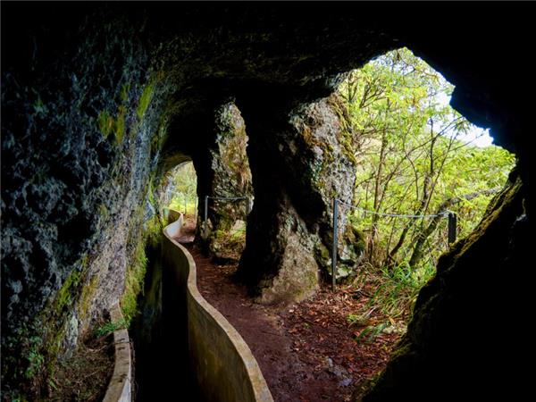 Hiking in Madeira vacation