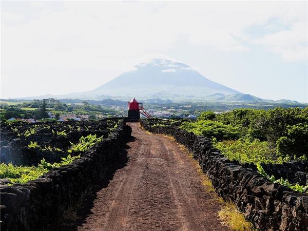 The Azores hiking vacation S�o Miguel, Pico and Faial