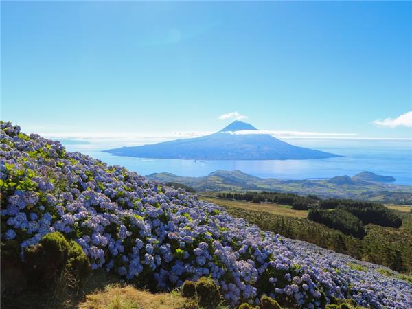 Hiking on Pico and Faial Islands holiday, The Azores