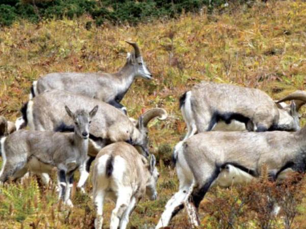 Trekking vacation in Bhutan
