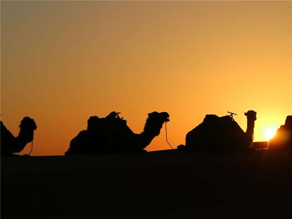 Vacation in Morocco, Imperial cities & deserts