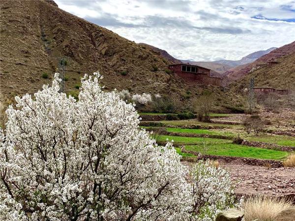 Cycling vacation in Morocco