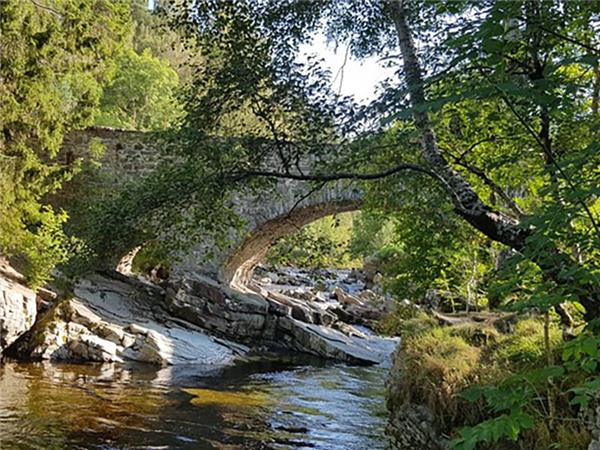 Women only retreat in the Cairngorms NP, Scotland