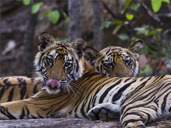 Northern India vacations