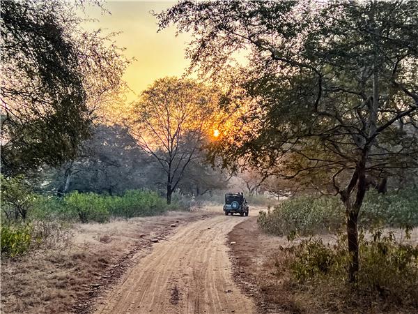 Rajasthan desert adventure