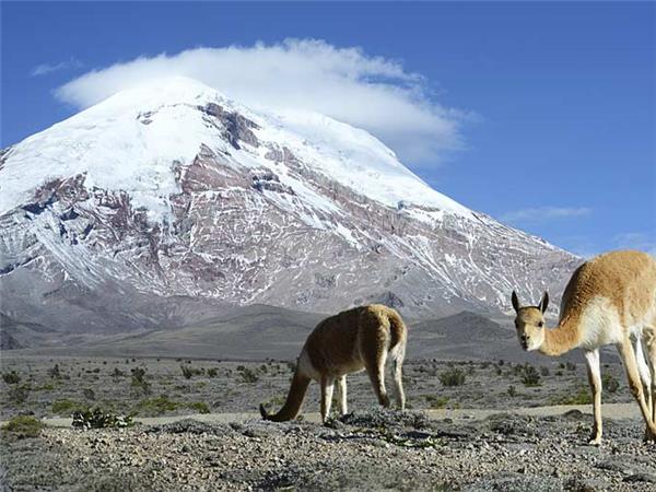 Ecuador vacations, Andes to Amazon