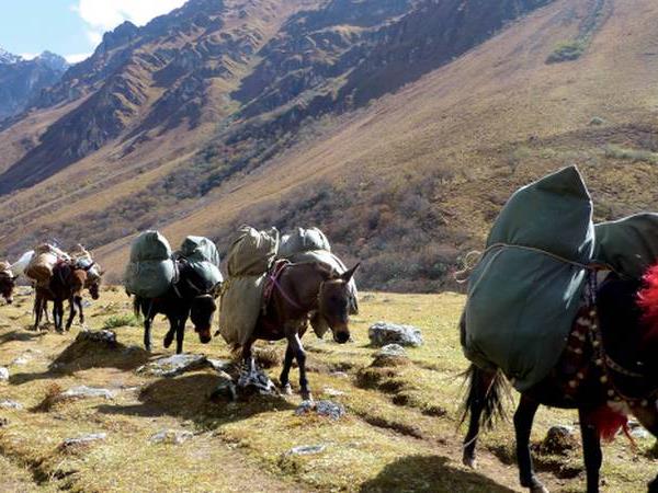 Trekking in Bhutan adventure holiday