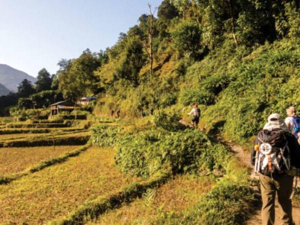 Nepal family vacation, walking in the Annapurnas