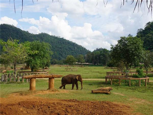 Thailand small group cultural vacation
