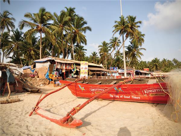 South India tour by bus & rail